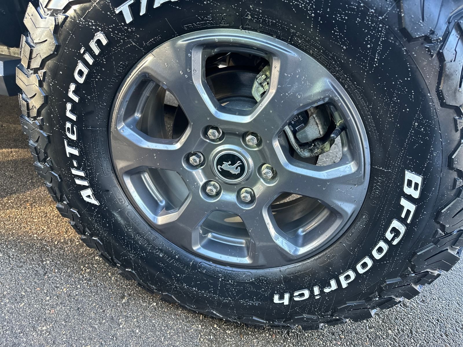 Used 2022 Gray Ford Big Bend image 6