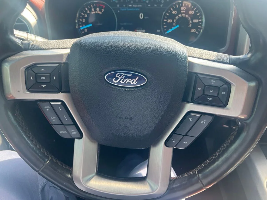 Used 2020 Silver Ford Platinum image 14