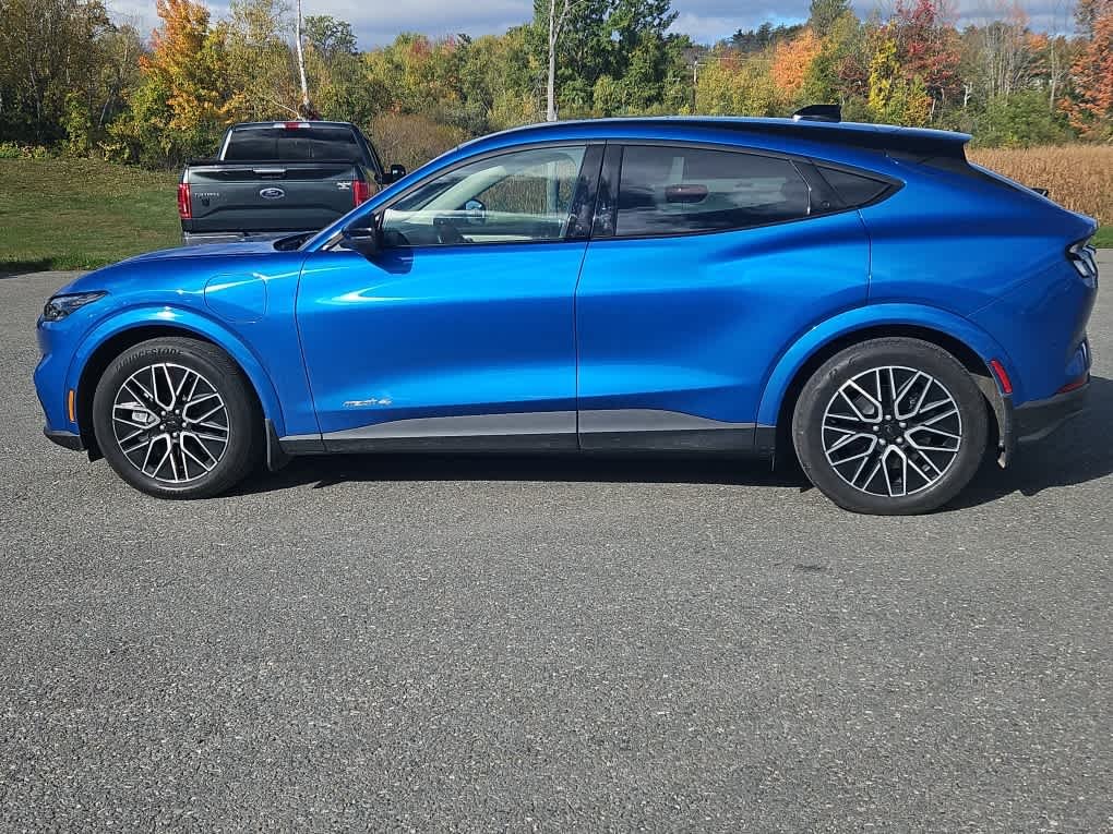 Used 2025 Velocity Blue Metallic Ford Premium image 2