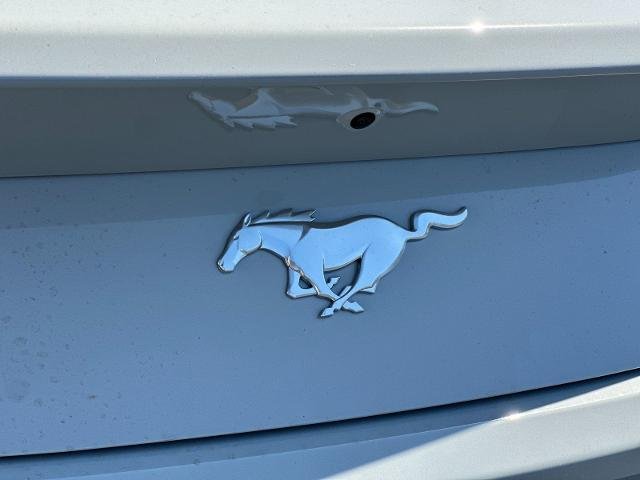 New 2026 Avalanche Gray Ford EcoBoost® Fastback image 50