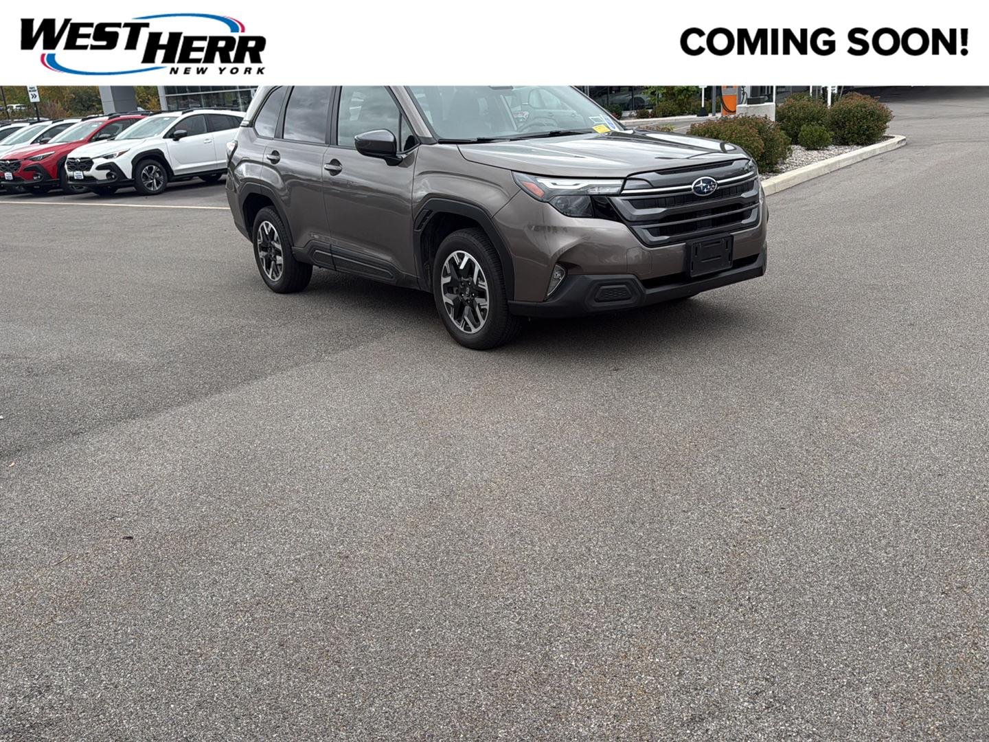 Used 2025 Brilliant Bronze Metallic Subaru Premium image 1