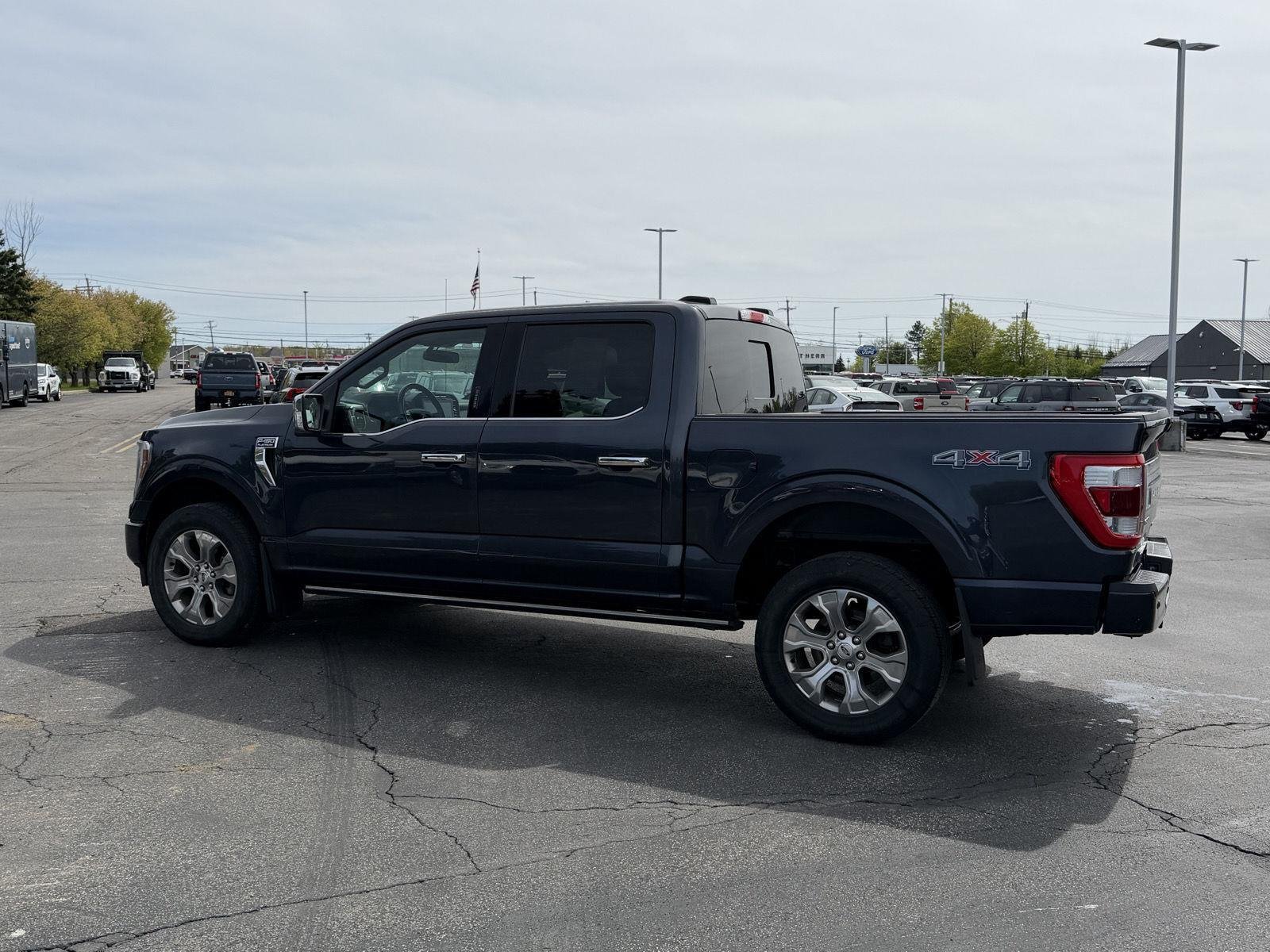 Used 2021 Smoked Quartz Metallic Tinted Clearcoat Ford Platinum image 5