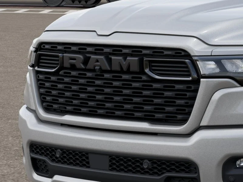 New 2026 Silver Zynith Exterior Paint RAM  image 11