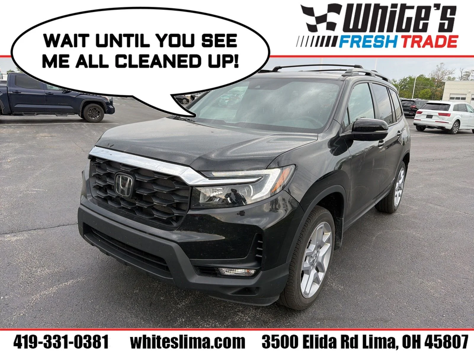 2025 Honda Passport 3.5 EX-L 4WD Auto's photo