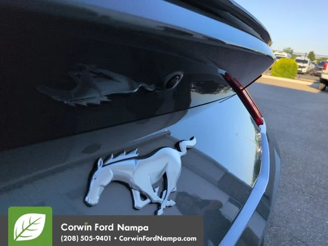 New 2026 Gray Metallic Ford EcoBoost image 27