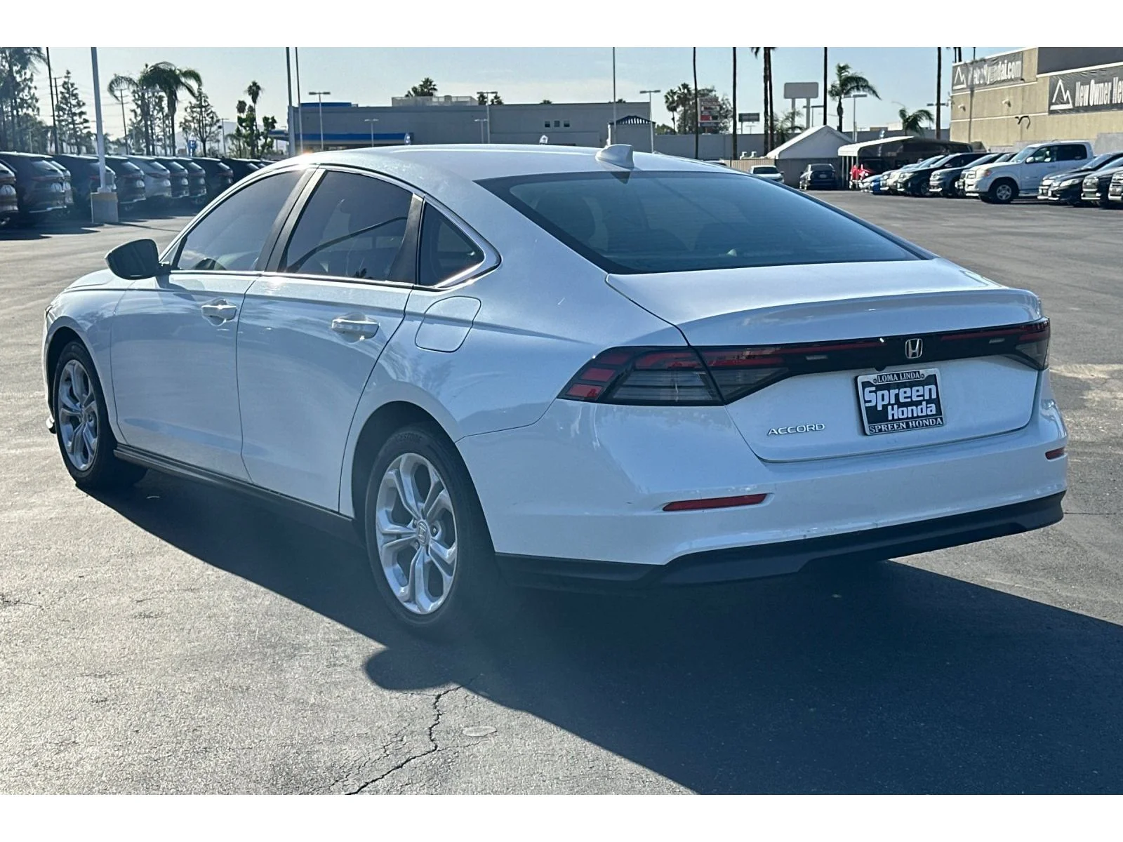 Used 2024 Platinum White Pearl Honda LX image 3