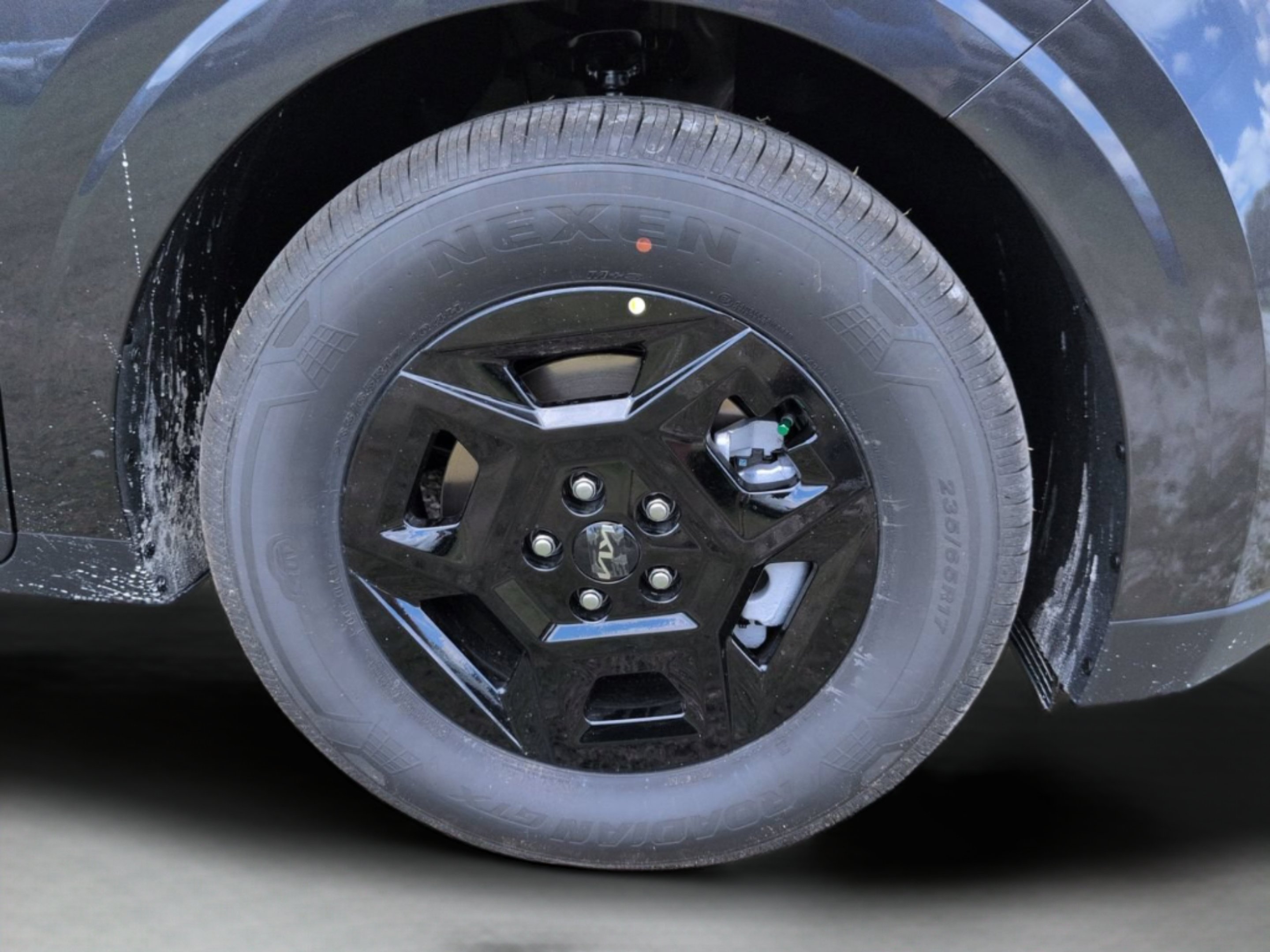 New 2026 Panthera Metal Kia LXS image 52