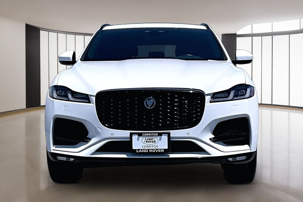 Used 2022 Fuji White Jaguar P250 S image 2