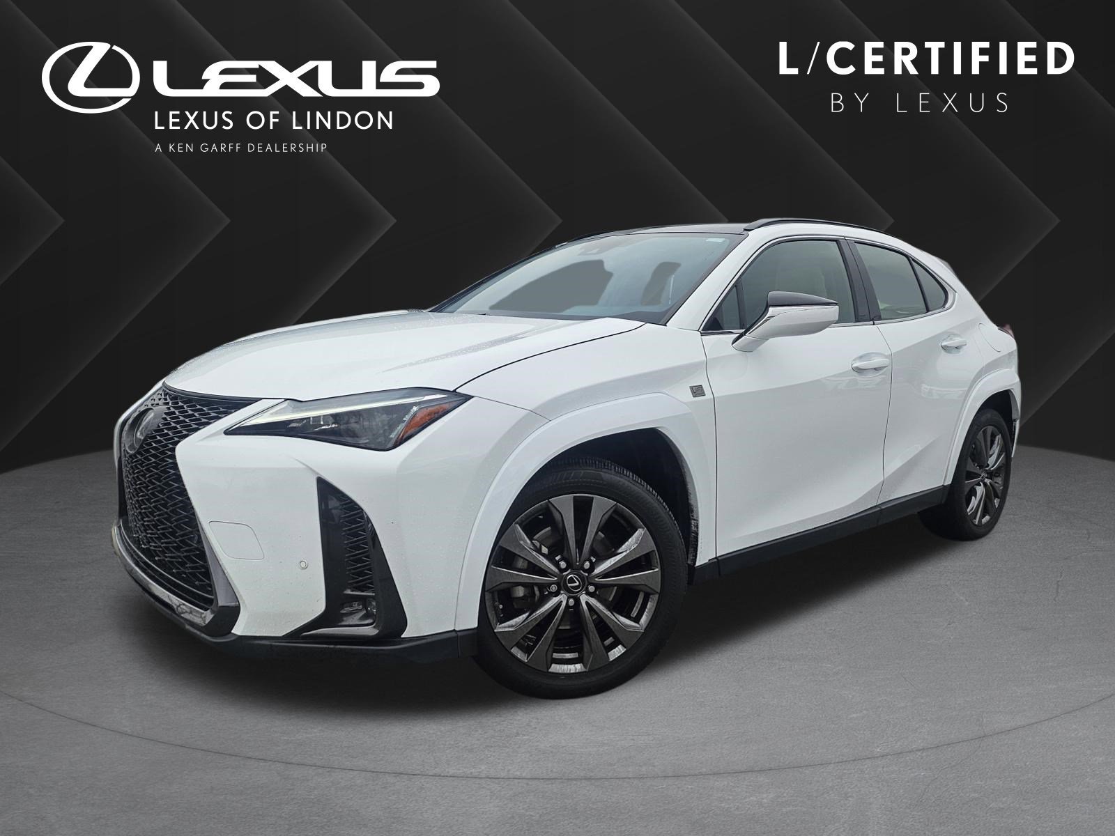 2023 Lexus UX 300h 250h F Sport Design AWD's photo