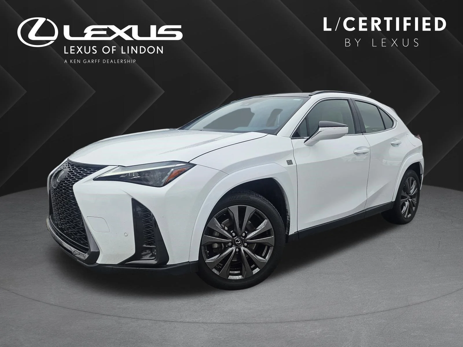 2023 Lexus UX 300h 250h F Sport Design AWD's photo
