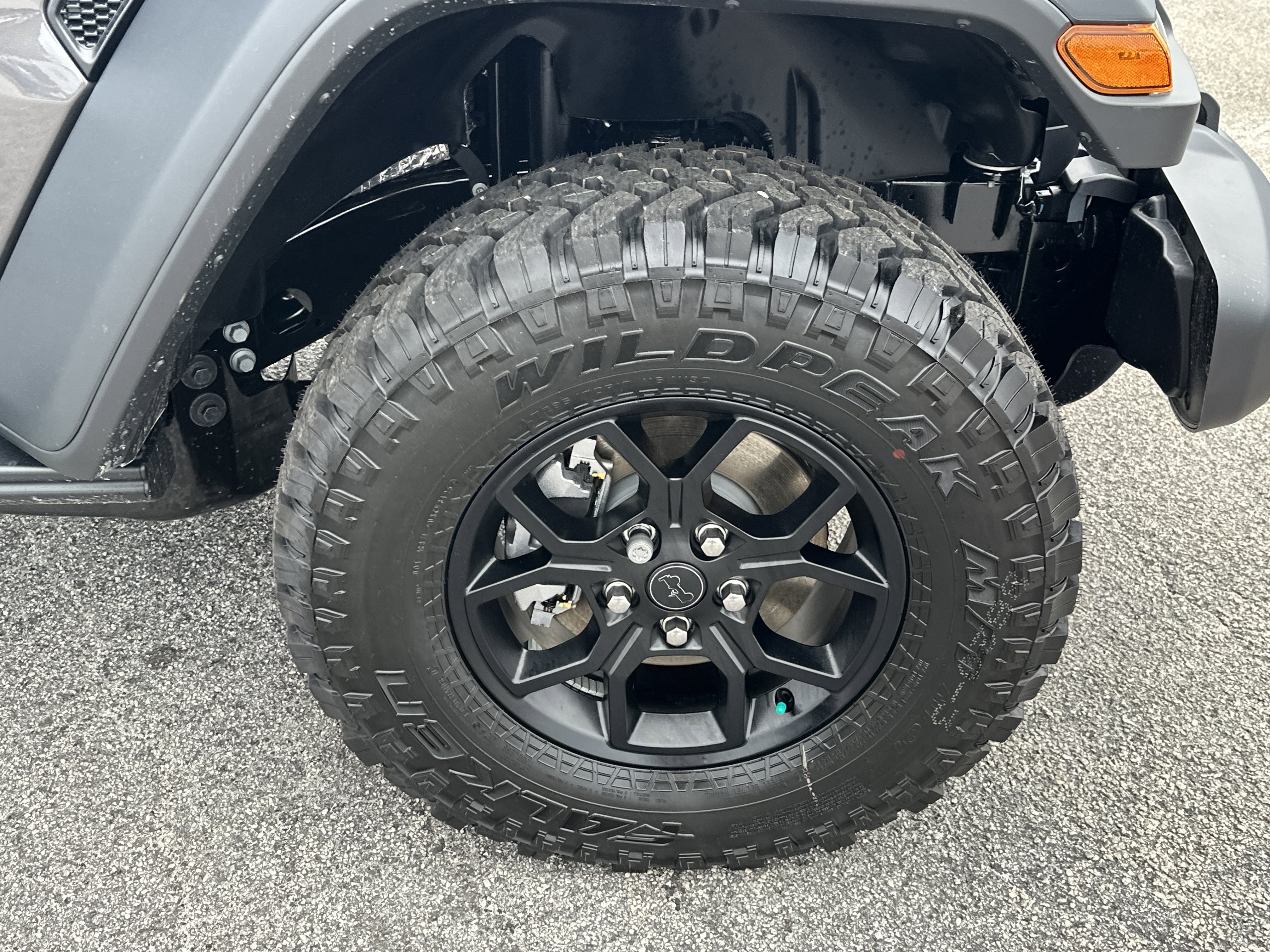 New 2026 Granite Crystal Metallic Clear-Coat Exterior Paint Jeep Willys image 13