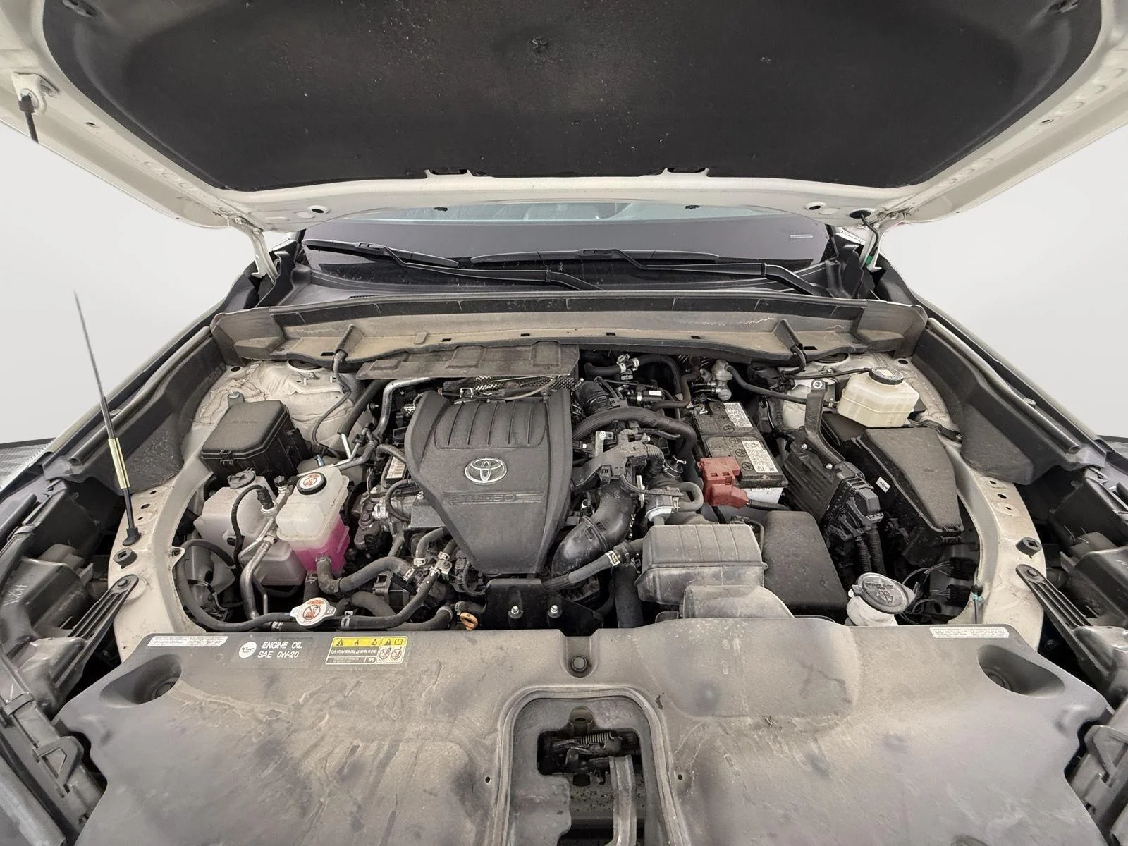 Used 2024 Coastal Cream Toyota XLE image 10