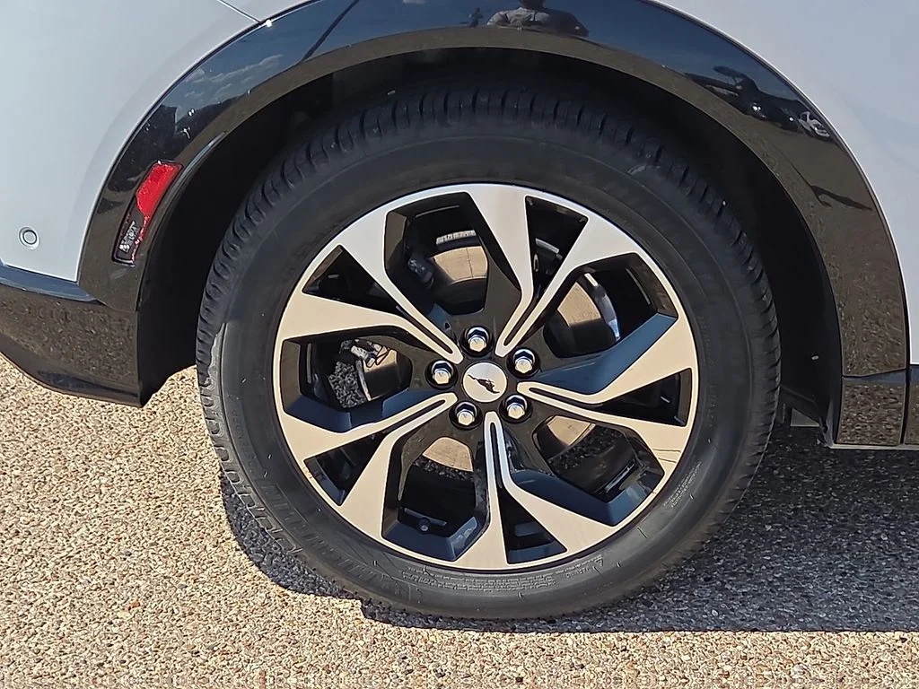 Used 2022 White Ford Premium image 13