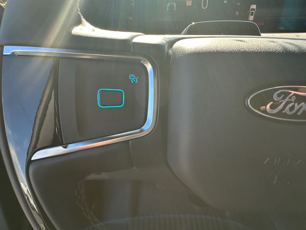 New 2025 Black Ford Platinum image 26