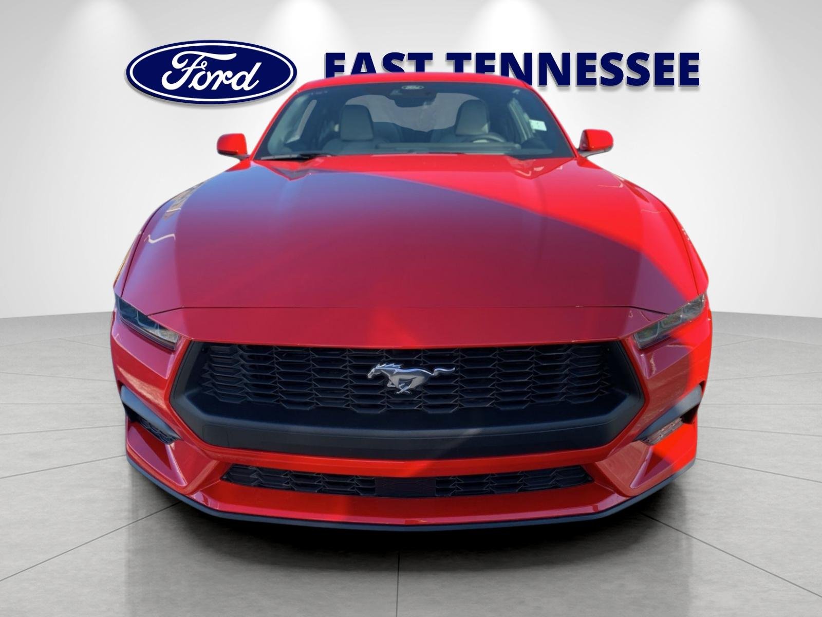 New 2026 Race Red Ford EcoBoost® Premium Fastback image 8