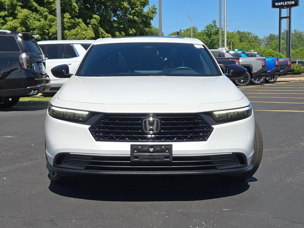 Used 2025 White Honda Sport image 4