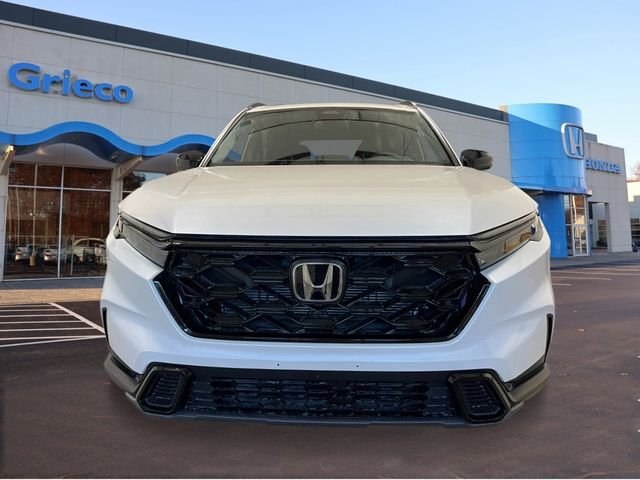 New 2026 Platinum White Pearl Honda Sport image 10