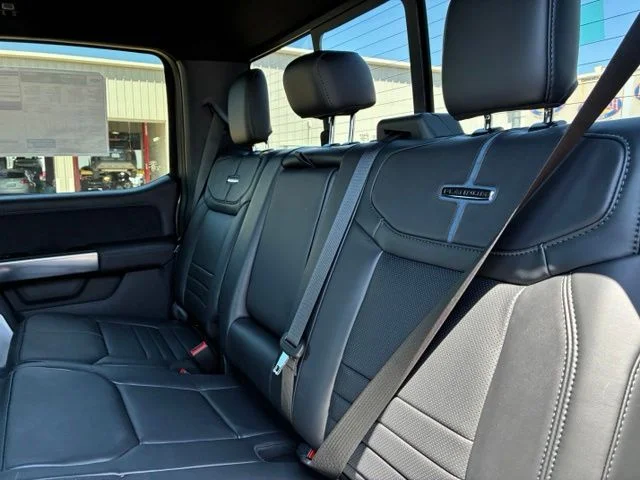 New 2026 Carbonized Gray Metallic Ford Platinum image 9