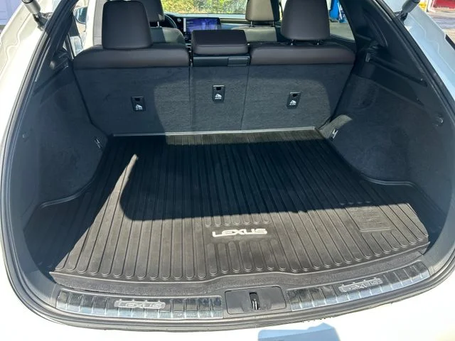 2023 Lexus RX 350 - Photo 25