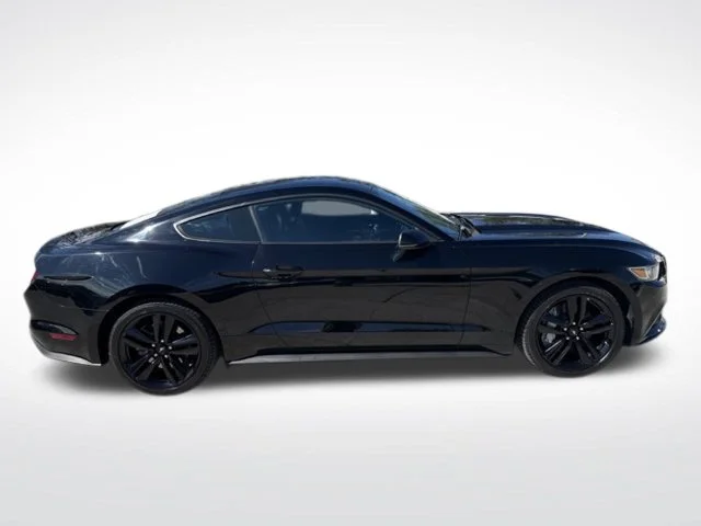 Used 2016 Black Ford EcoBoost Premium image 10