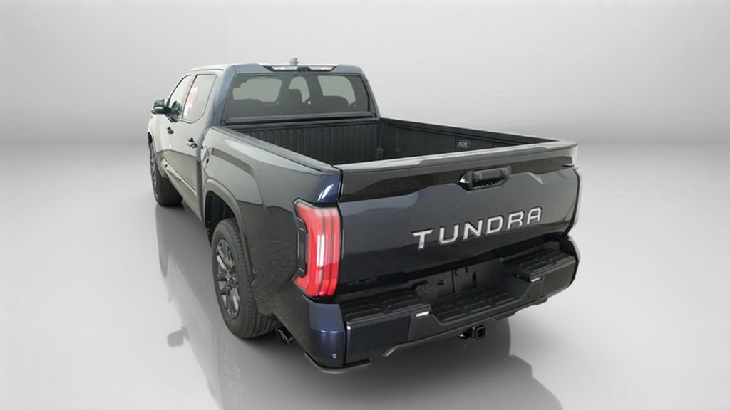 New 2026  Toyota Platinum image 13