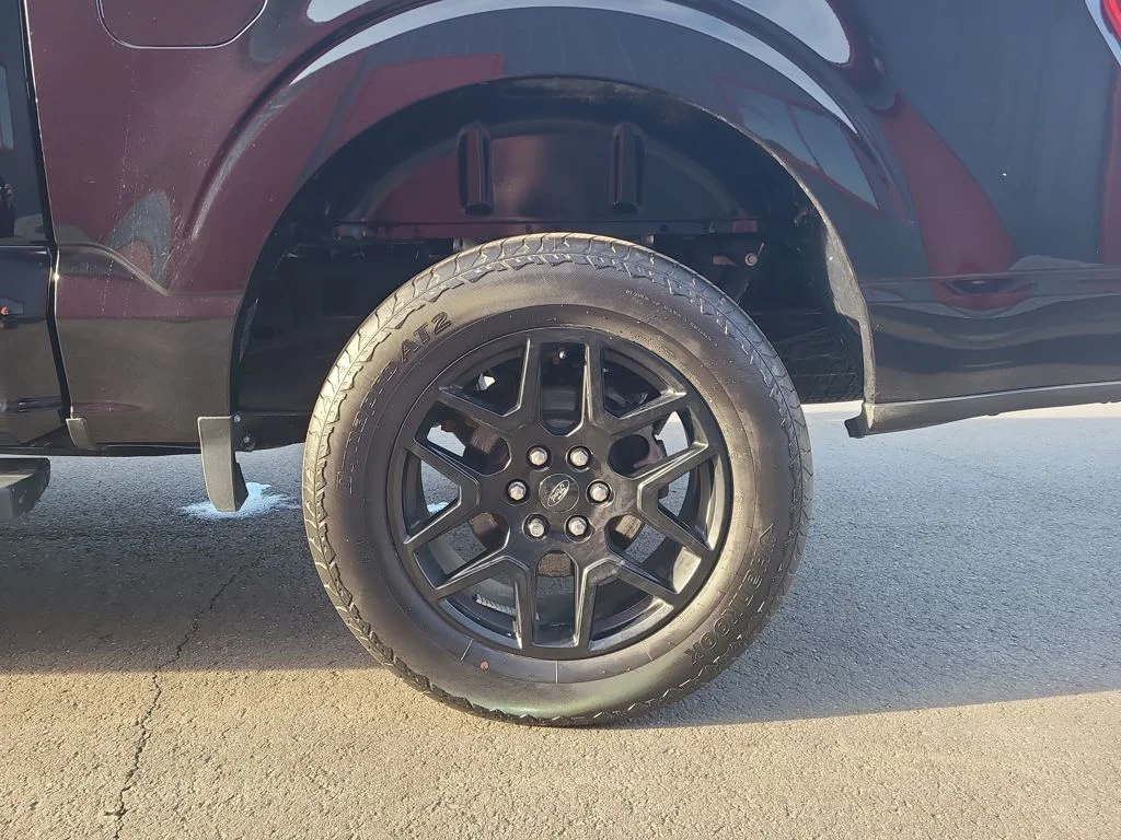 2024 Ford F-150 STX - Photo 14