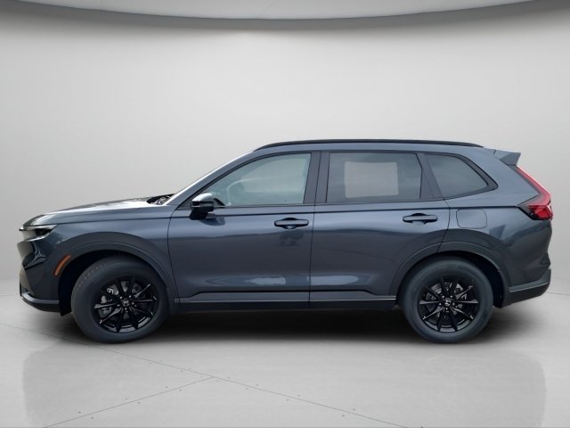 New 2026 Meteorite Gray Metallic Honda Sport image 4