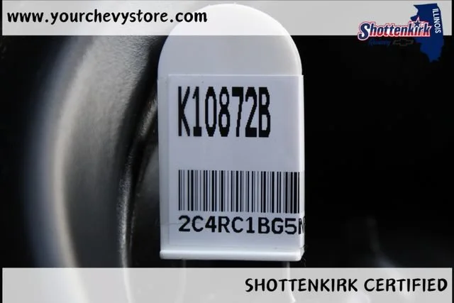 Used 2022 Gray Chrysler Touring L image 35