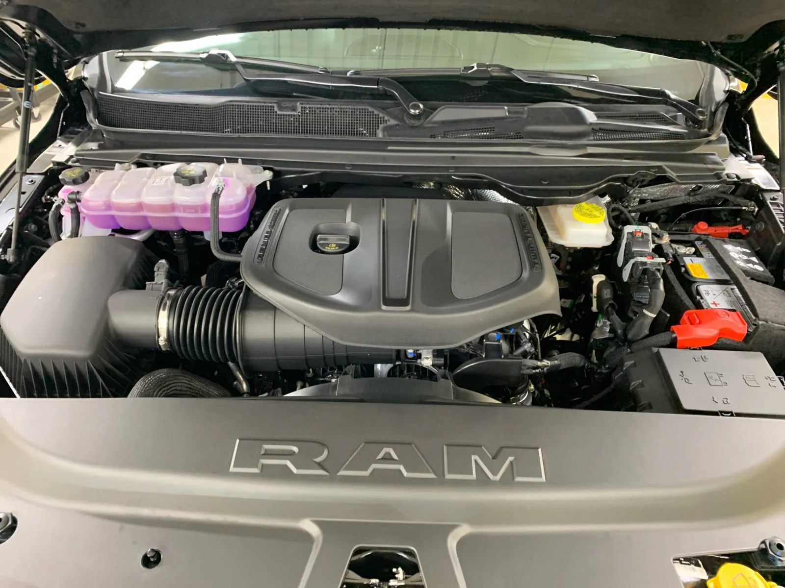 New 2026 Diamond Blk Crystal Pearl Ram Sport image 20