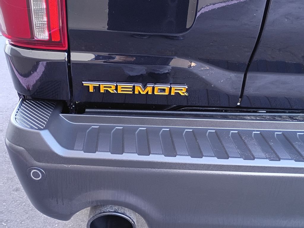 2025 Ford F-150 Tremor - Photo 6