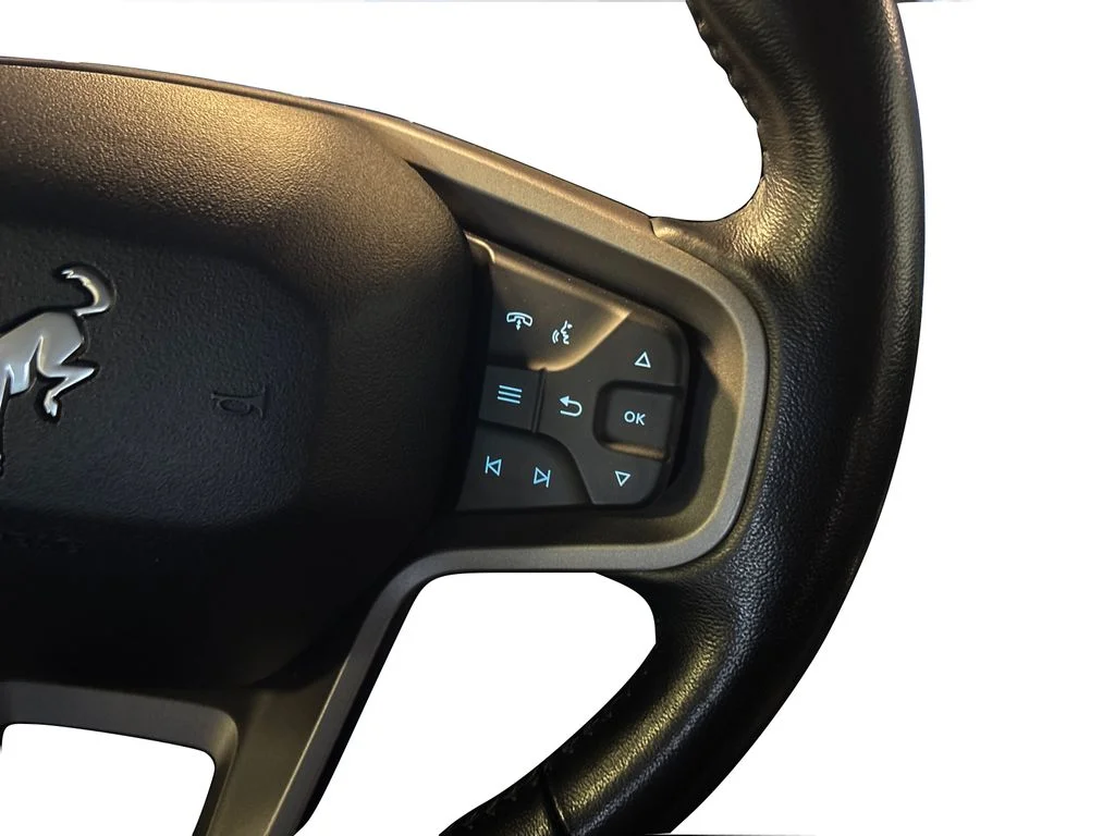Used 2023 Gray Ford Badlands image 32