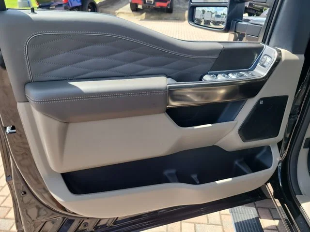 New 2026 Black Metallic Ford Platinum image 16
