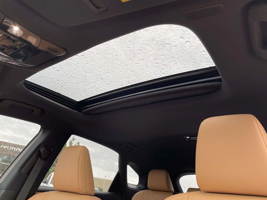 2025 Lexus RX 350 - Photo 9