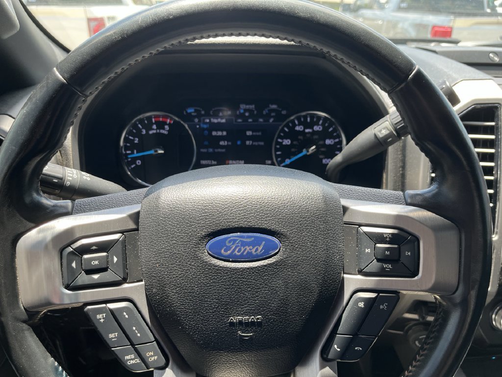 Used 2020 Silver Ford Platinum image 14