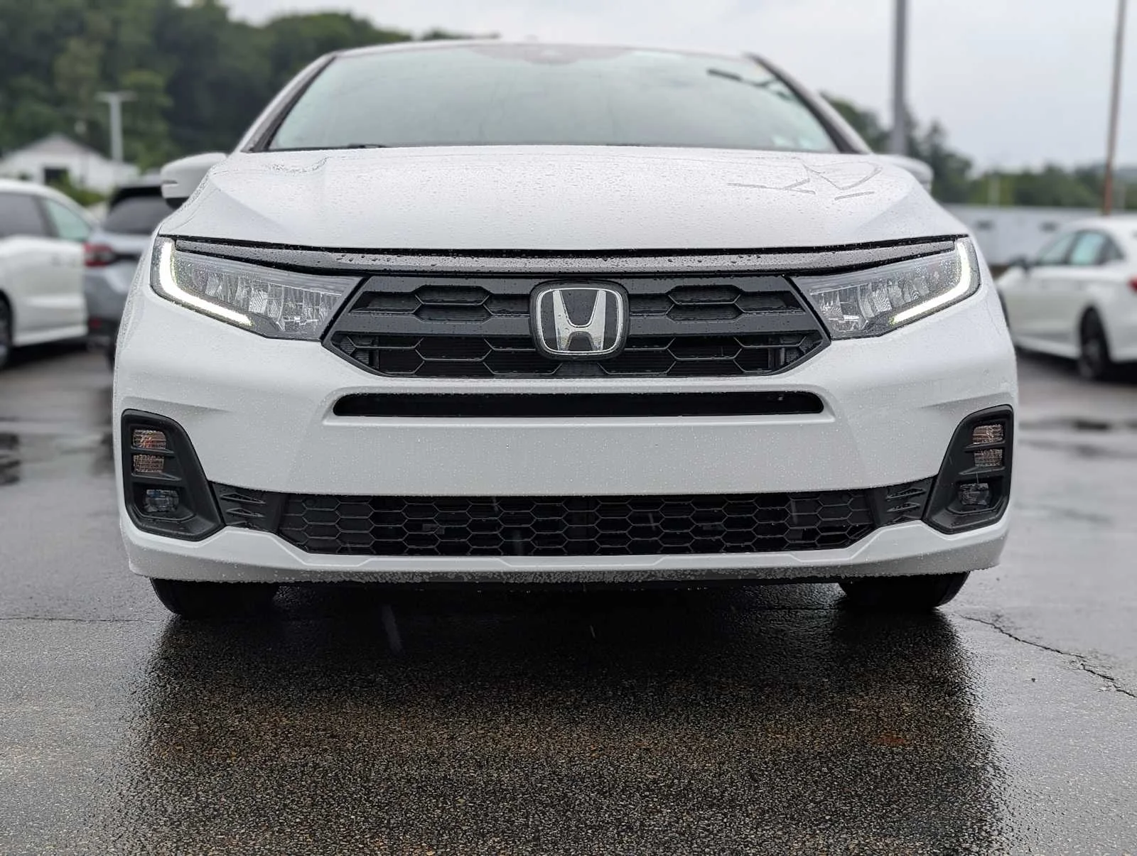 New 2026 Platinum White Pearl Honda EX-L image 2