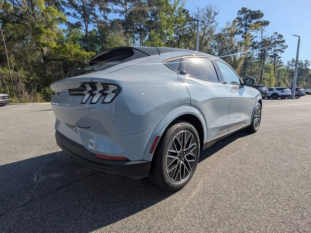 New 2026 Gray Ford Premium image 4