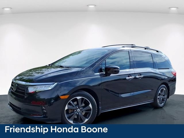 Used 2023 Black Honda Elite image 2