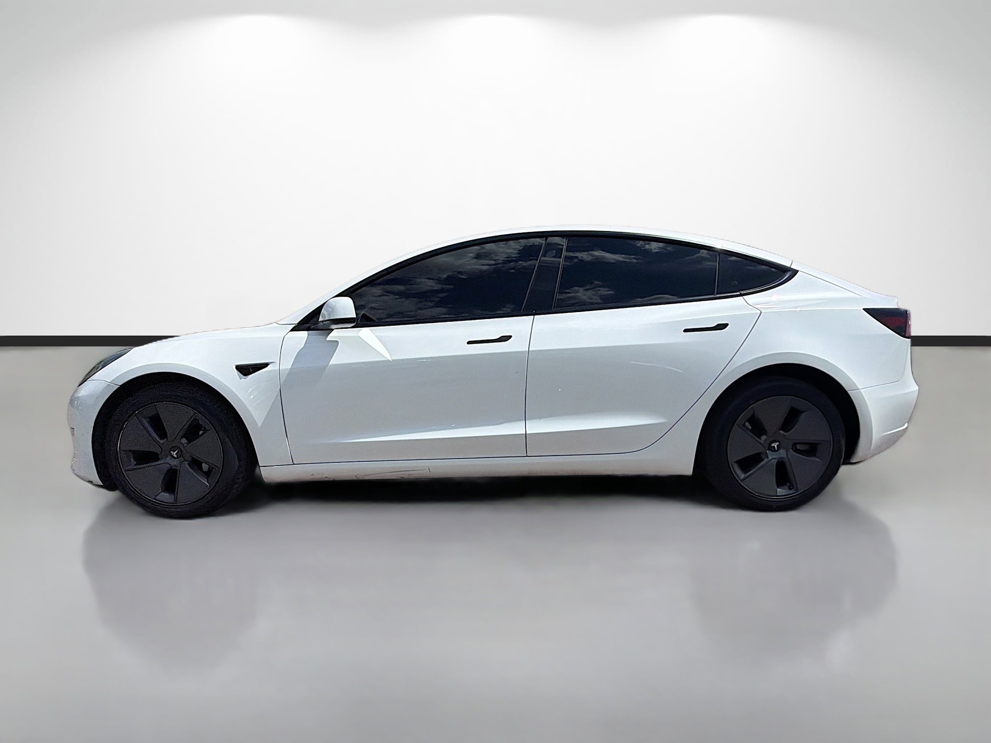 Used 2023 Tesla Model 3 Base with VIN 5YJ3E1EA3PF490614 for sale in Tampa, FL