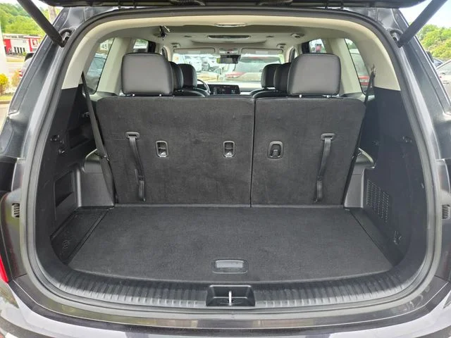 Used 2025 Panthera Metal Kia S image 16