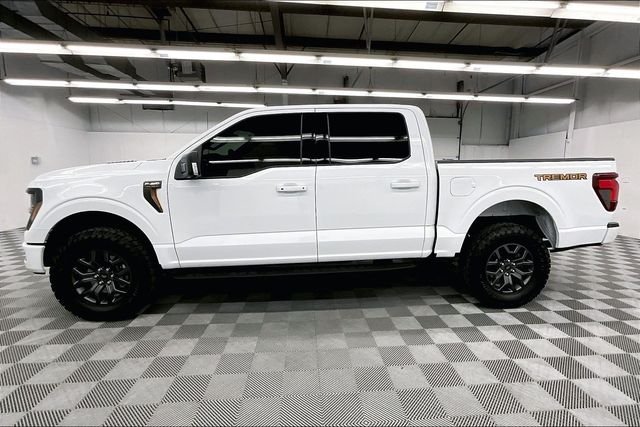 2025 Ford F-150 Tremor - Photo 15