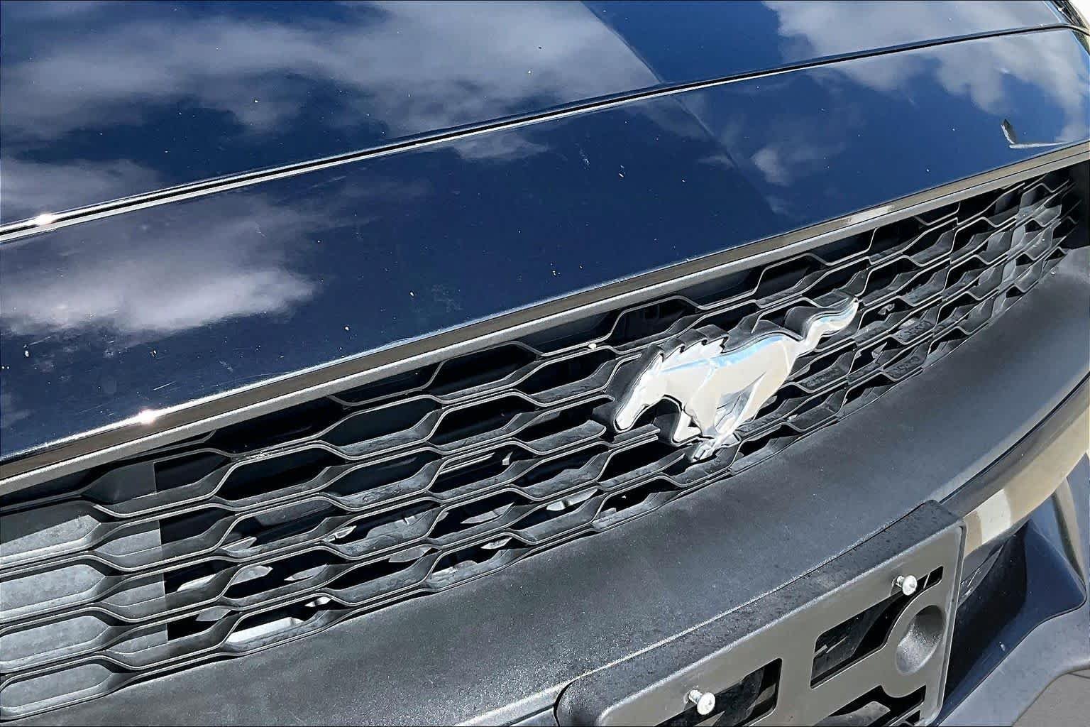 Used 2019 Shadow Black Ford EcoBoost Premium image 24