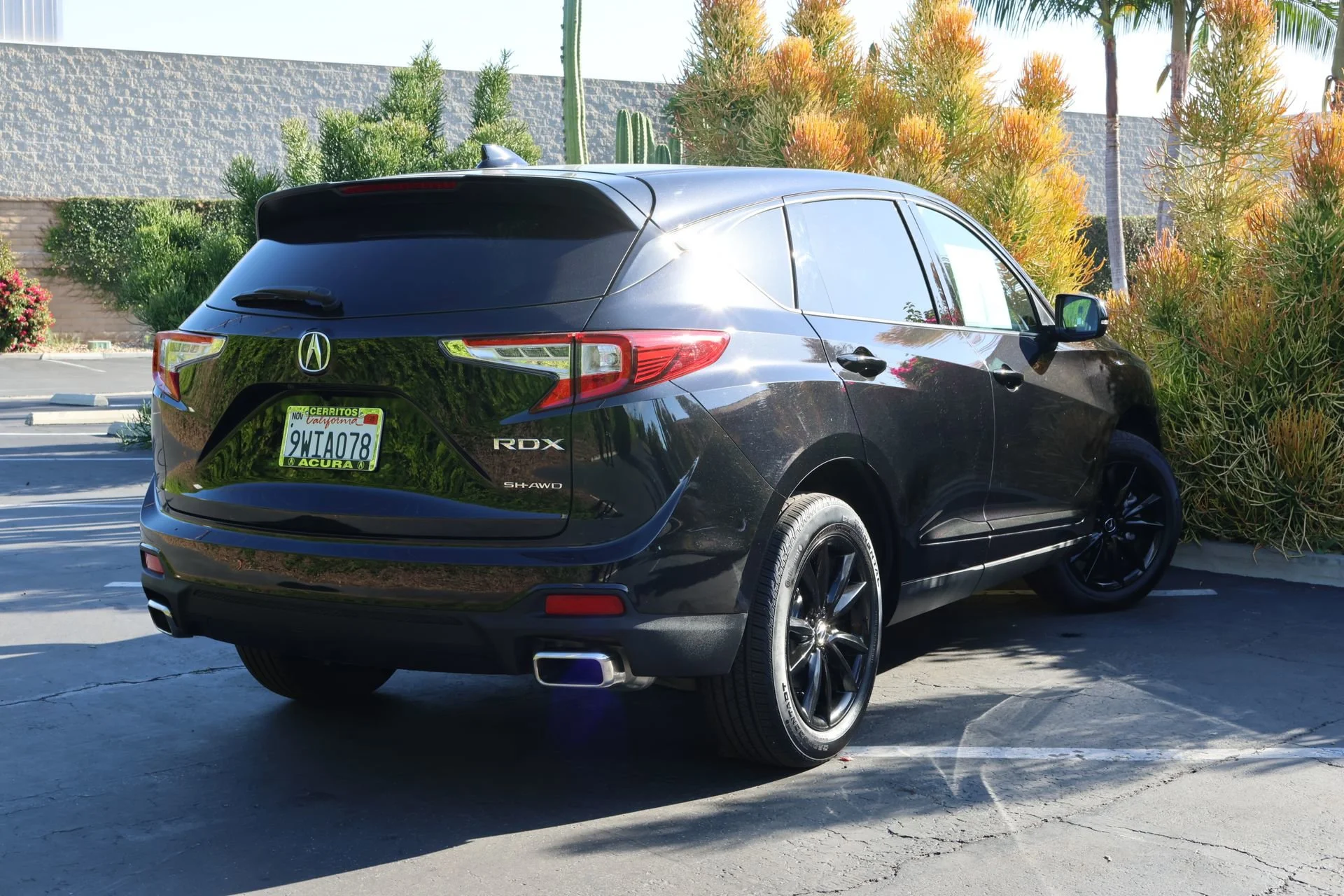 Photo 50