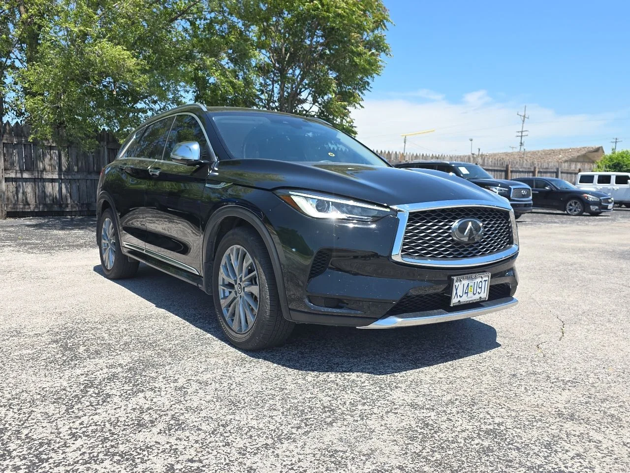 2024 INFINITI QX50 Luxe AWD's photo