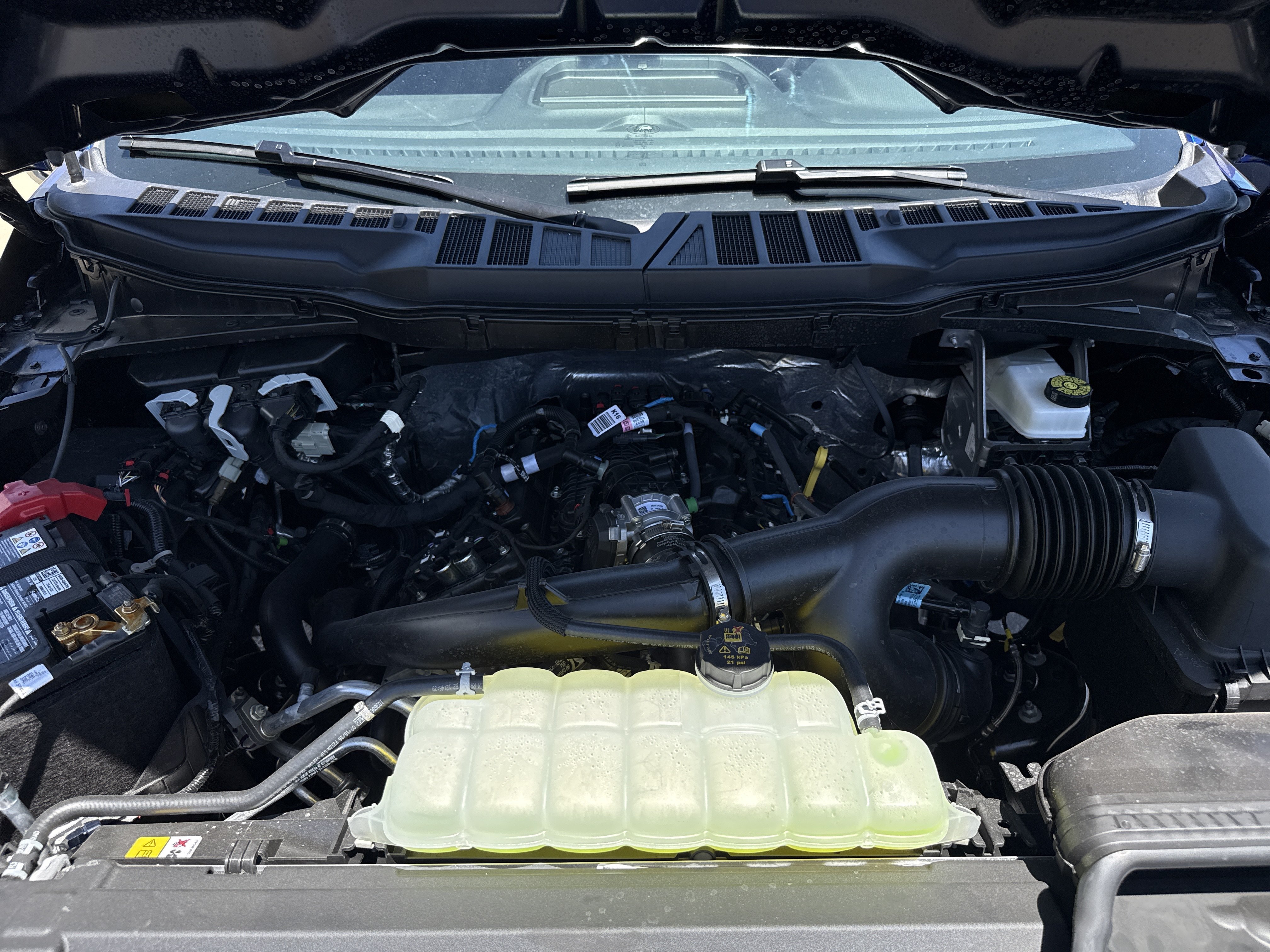New 2026 Argon Blue Metallic Ford STX® image 19