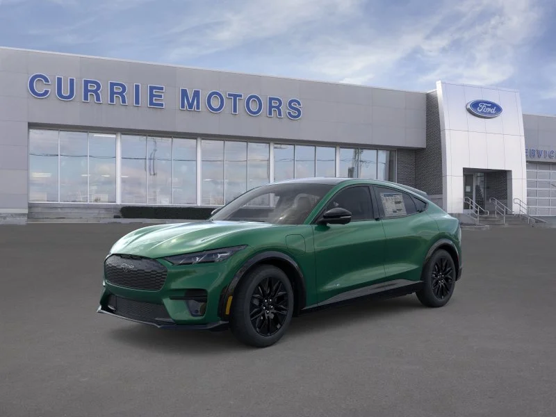 New 2026 Eruption Green Metallic Ford Premium image 1