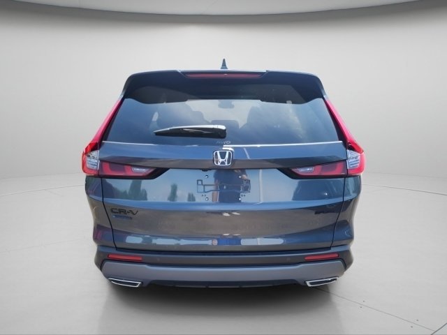 New 2026 Meteorite Gray Metallic Honda Sport-L image 6
