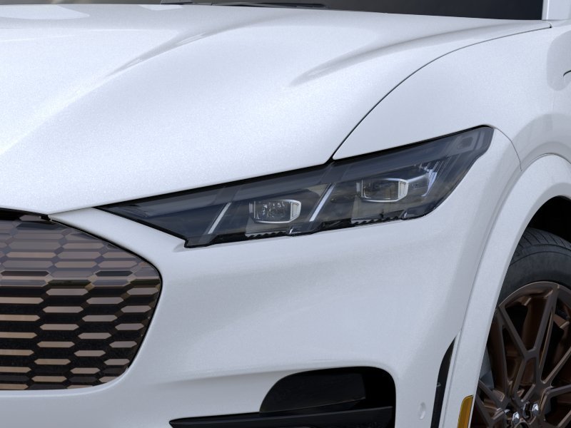 2025 Ford Mustang Mach-E GT - Photo 40