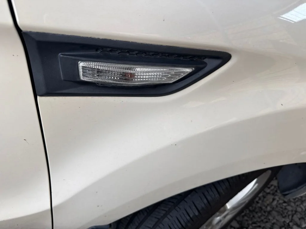 Used 2011  Kia Plus image 5