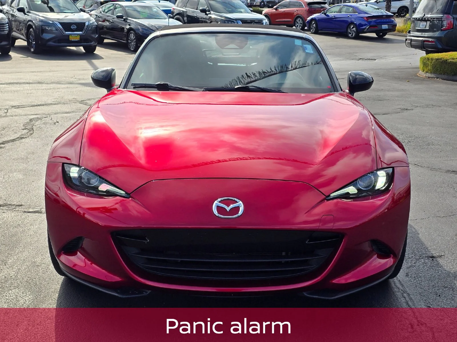 Used 2024 Red Mazda Sport image 9