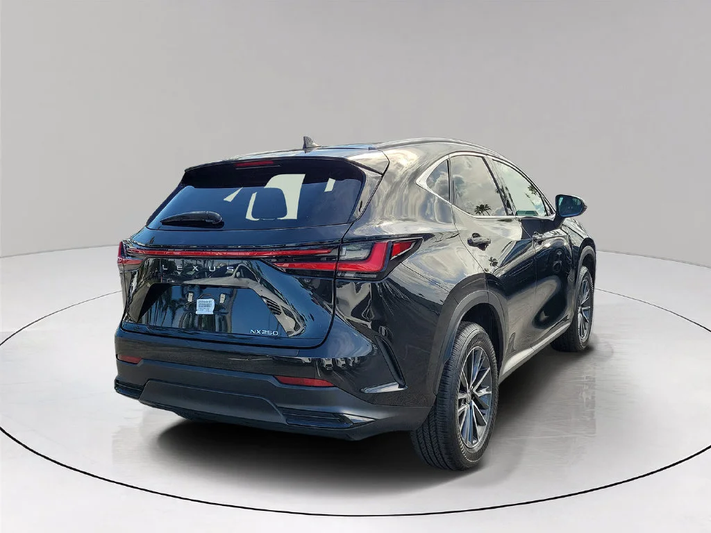Used 2024 Caviar Lexus 250 Premium image 4